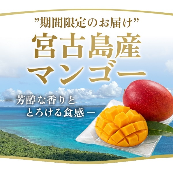 宮古島産マンゴー