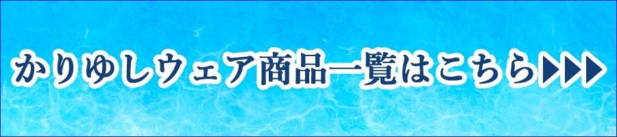 カテゴリページへ