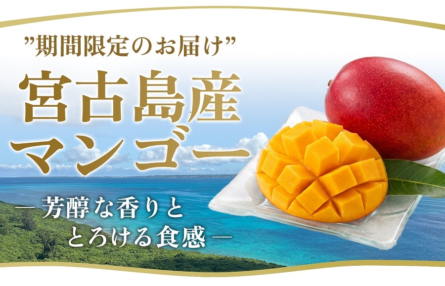 夏ギフト