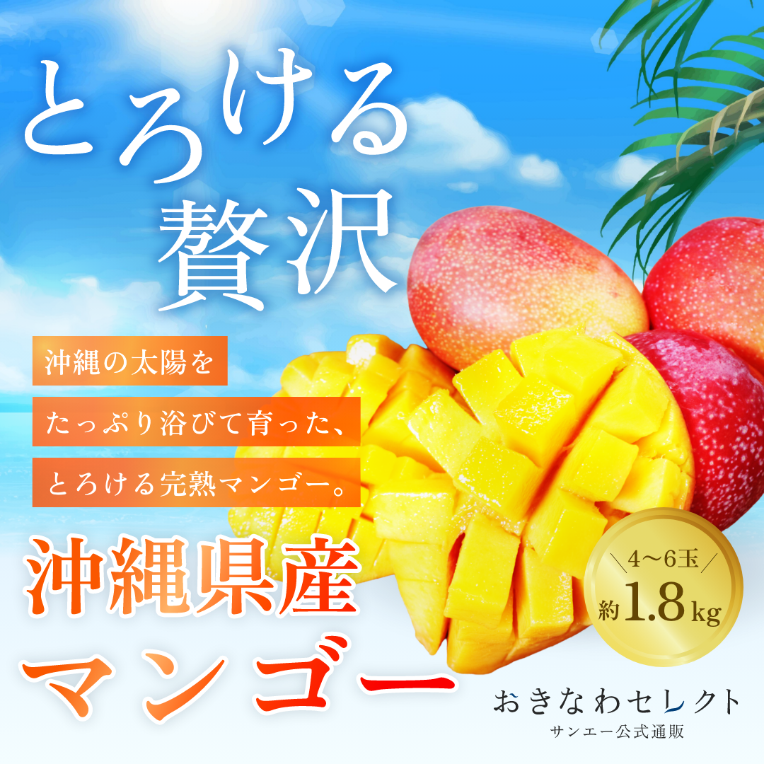 沖縄県産マンゴー大