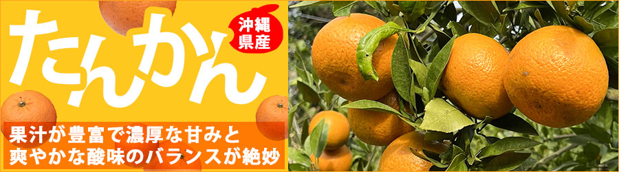 沖縄県産　たんかん