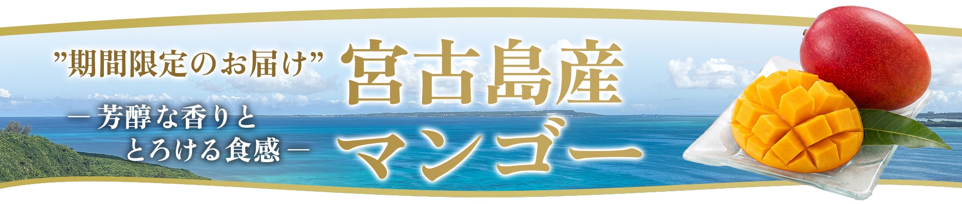 宮古島マンゴー