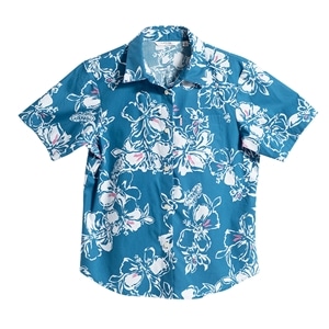 ブルーグリーン