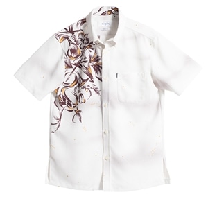 ホワイト／ブラウン