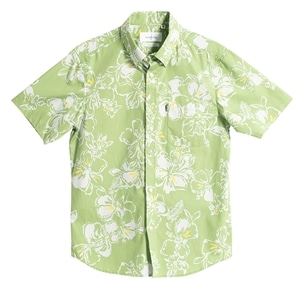 ライトグリーン