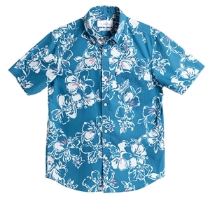 ブルーグリーン