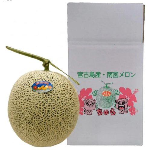 宮古島産赤肉メロン