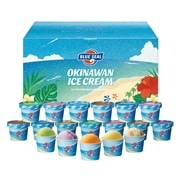 【 4537 】 ブルーシールギフト18 (お届け先が 沖縄本島内・沖縄県内離島 ) 産地直送 【 ブルーシール 】