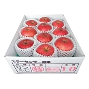 【 1099 】 青森産糖度センサー使用さんふじ　２．5ｋｇ (お届け先が 全国一律 ) 産地直送 【 マルマン 】