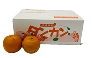 沖縄県産たんかん３ｋｇ