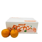 沖縄県産たんかん３ｋｇ