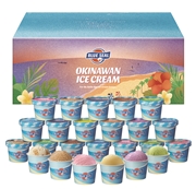 【 4504 】 ブルーシールギフト24 (お届け先が 沖縄本島内・沖縄県内離島 ) 産地直送 【 ブルーシール 】