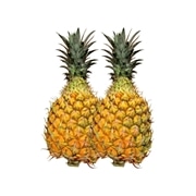 沖縄県産　スナックパイン２ｋｇ　(２~３玉）