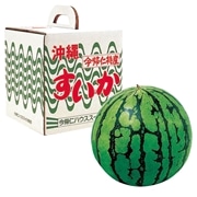 【 1029 】 タネが少ない今帰仁スイカ 1玉 (お届け先が 沖縄県内離島・沖縄県外 ) 産地直送 【 今帰仁スイカ 】