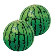 【 1030 】 タネが少ない今帰仁スイカ　2玉　 (お届け先が 沖縄県内離島・沖縄県外 ) 産地直送 【 今帰仁スイカ 】