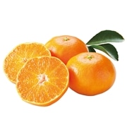 【 1079 】 和歌山産　有田みかん (お届け先が 全国一律 ) 産地直送 【 マルマン 】