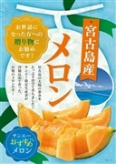 【 1105 】 宮古産　赤肉メロン2玉 【 根間農園 】 産地直送