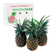 【 1013 】 沖縄産パイン（3玉） (お届け先が 沖縄本島内 ) 産地直送 【 農協直販 】