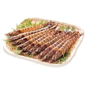 【 3366 】 宜野座産 活車海老（ゴジラサイズ） (お届け先が 沖縄本島内 ) 産地直送 【 宜野座養殖場 】