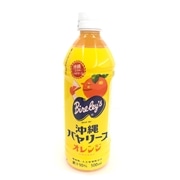 アサヒ飲料　沖縄バヤリース　オレンジ 500ｍｌ