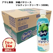 沖縄バヤリース　ソルティシークヮーサー　ケース（24本）