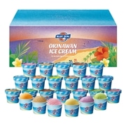 【 4538 】 ブルーシールギフト24 (お届け先が 沖縄県外 ) 産地直送 【 ブルーシール 】