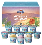 【 4502 】 ブルーシールギフト12 (お届け先が 沖縄県外 ) 産地直送 【 ブルーシール 】