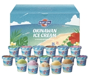 【 4503 】 ブルーシールギフト18 (お届け先が 沖縄県外 ) 産地直送 【 ブルーシール 】