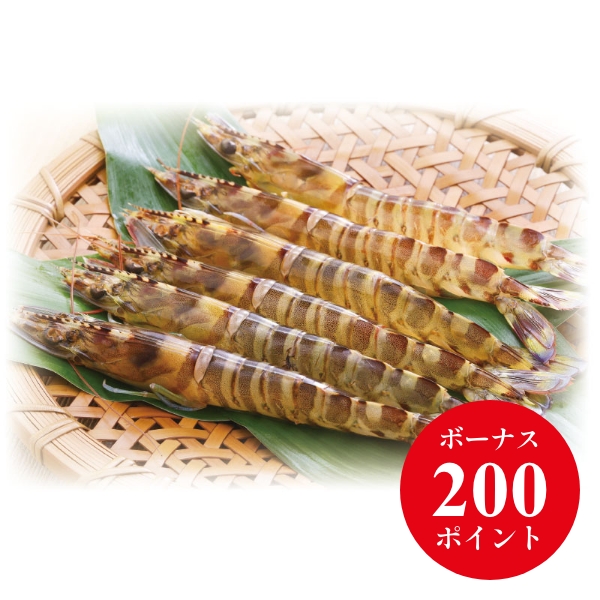 久米島産 活〆急速冷凍車海老（超特大）