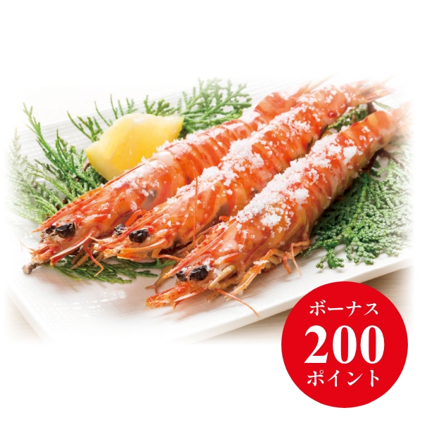 宜野座産 活〆車海老（小サイズ）