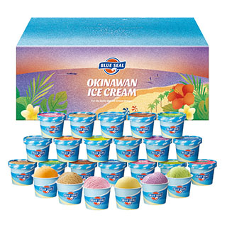 ブルーシールギフト 24