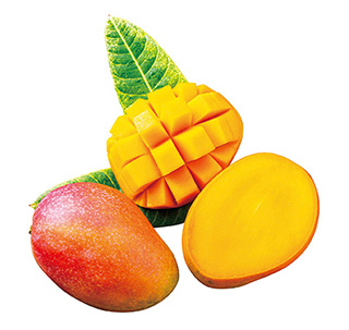 沖縄産マンゴー約900g（2～3玉）