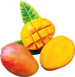 産地直送 フルーツギフト